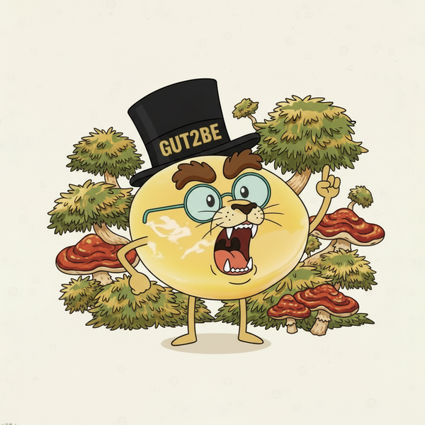 Der Löwe – Lion's Mane & Reishi