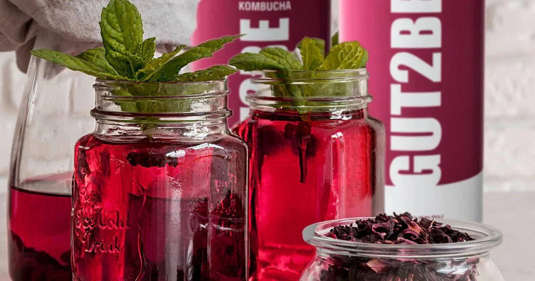 Kombucha mit Himbeeren - GUT2BE.DE