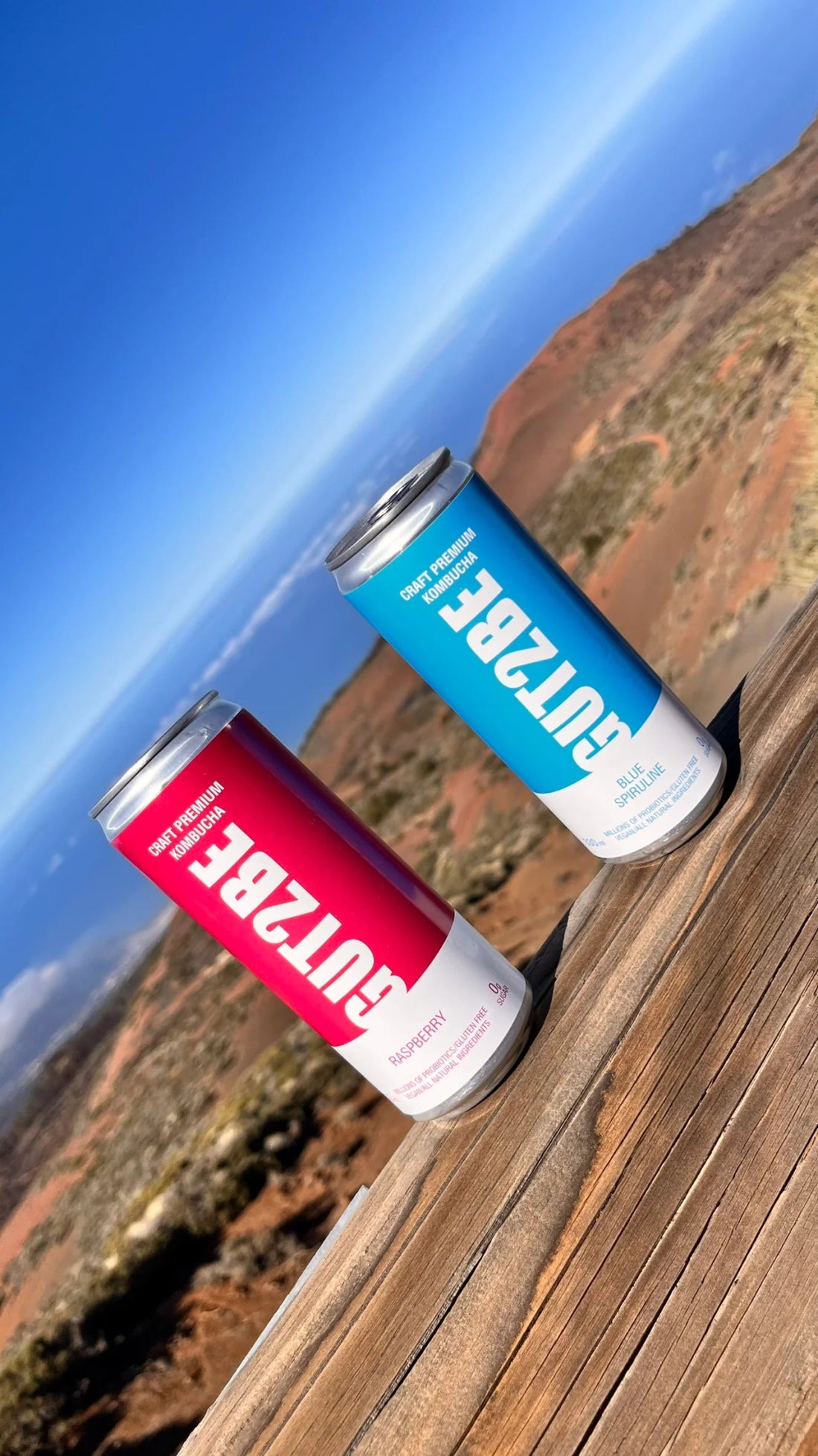 Warum Gut2Be Kombucha so gut für das Herz ist - GUT2BE.DE