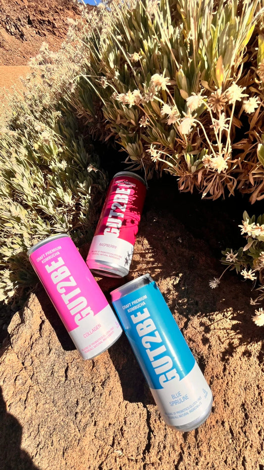 Was genau ist Kombucha und was wissen wir darüber? - GUT2BE.DE