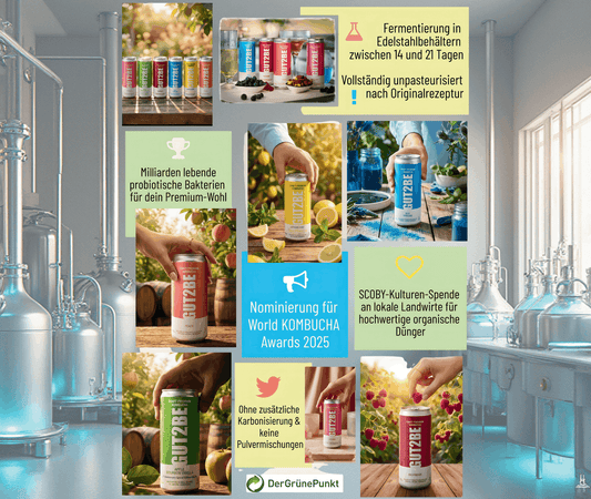 CRAFT PREMIUM - Kombucha fermentierter Grüner Tee Mix 24 x 330ml - GUT2BE.DEGut2beCRAFT PREMIUM - Kombucha fermentierter Grüner Tee Mix 24 x 330ml