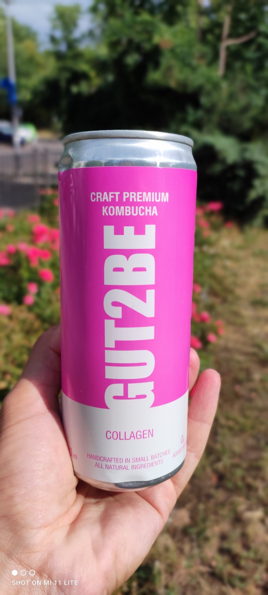 Fermentierter Grüner Tee CRAFT PREMIUM - Kombucha mit Kollagen 24 x 330ml - GUT2BE.DEGut2beFermentierter Grüner Tee CRAFT PREMIUM - Kombucha mit Kollagen 24 x 330ml