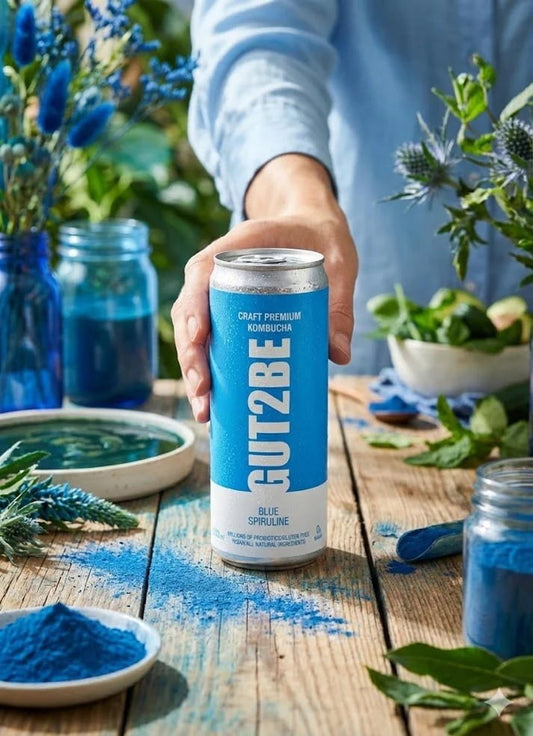 Fermentierter Tee CRAFT PREMIUM - Kombucha Blaue Spirulina 24 x 330ml - GUT2BE.DEGUT2BE.DEFermentierter Tee CRAFT PREMIUM - Kombucha Blaue Spirulina 24 x 330ml