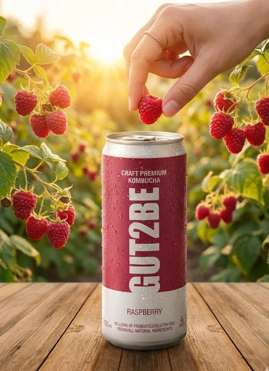 Fermentierter Tee CRAFT PREMIUM - Kombucha Himbeere 12 x 330ml - GUT2BE.DEGut2beFermentierter Tee CRAFT PREMIUM - Kombucha Himbeere 12 x 330ml