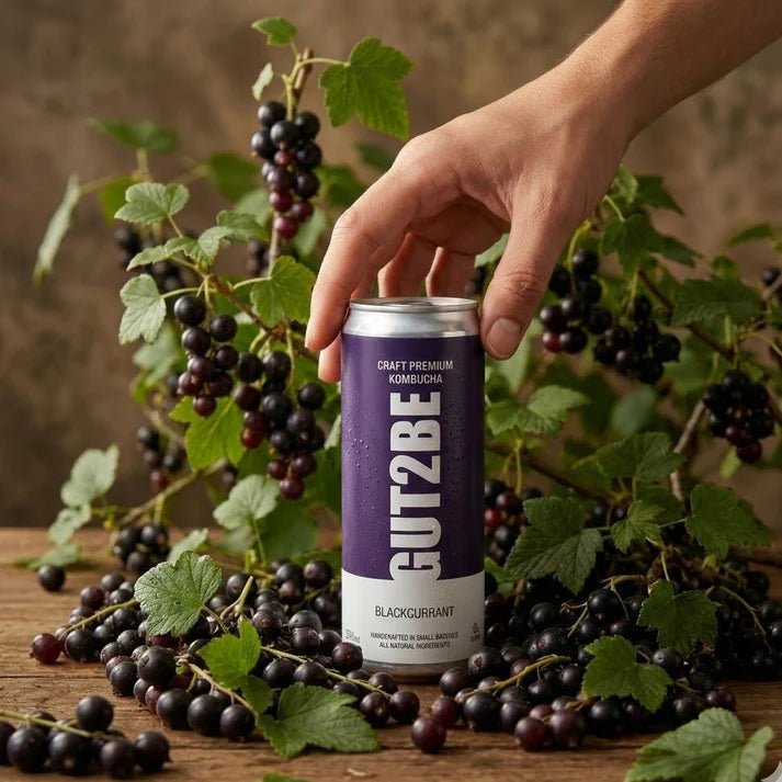 Fermentierter Tee CRAFT PREMIUM - Kombucha Schwarze Johannisbeere 24 x 330ml - GUT2BE.DEGUT2BE.DEFermentierter Tee CRAFT PREMIUM - Kombucha Schwarze Johannisbeere 24 x 330ml