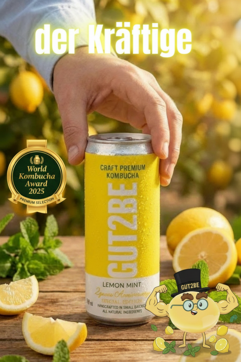 GUT2BE® Der Kräftige – Zitrone Minze | CRAFT PREMIUM Kombucha 12 x 330ml - GUT2BE.DEGUT2BE.DEKombucha Fermentierter TeeGUT2BE® Der Kräftige – Zitrone Minze | CRAFT PREMIUM Kombucha 12 x 330ml