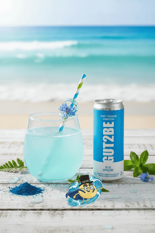 GUT2BE® Der Ozean – Blue Spirulina | CRAFT PREMIUM Kombucha 12 x 330ml - GUT2BE.DEGUT2BE.DEKombucha Fermentierter TeeGUT2BE® Der Ozean – Blue Spirulina | CRAFT PREMIUM Kombucha 12 x 330ml