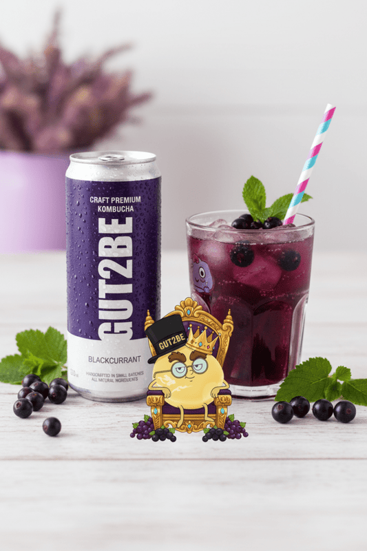 GUT2BE® Die Königin – Schwarze Johannisbeere | CRAFT PREMIUM Kombucha 24 x 330ml - GUT2BE.DEGUT2BE.DEKombucha Fermentierter TeeGUT2BE® Die Königin – Schwarze Johannisbeere | CRAFT PREMIUM Kombucha 24 x 330ml