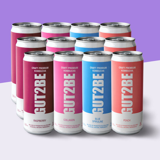 Kombucha - Mix – Set mit 12 x 330 ml - GUT2BE.DEGut2beKombucha - Mix – Set mit 12 x 330 ml