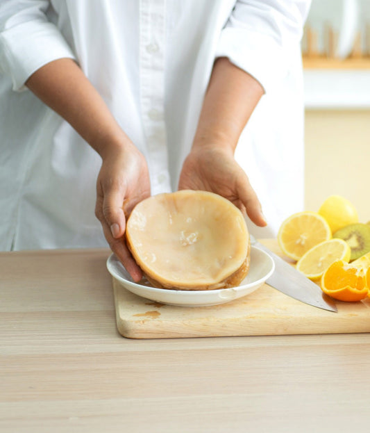 Kombucha - Pilz SCOBY - GUT2BE.DEGut2beKombucha - Pilz SCOBY