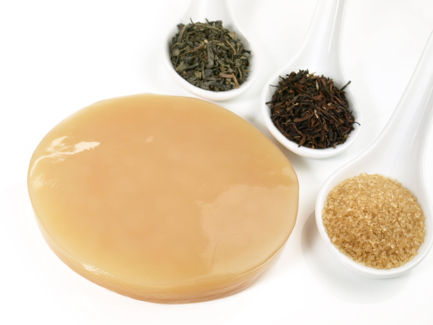 Kombucha - Pilz SCOBY - GUT2BE.DEGut2beKombucha - Pilz SCOBY