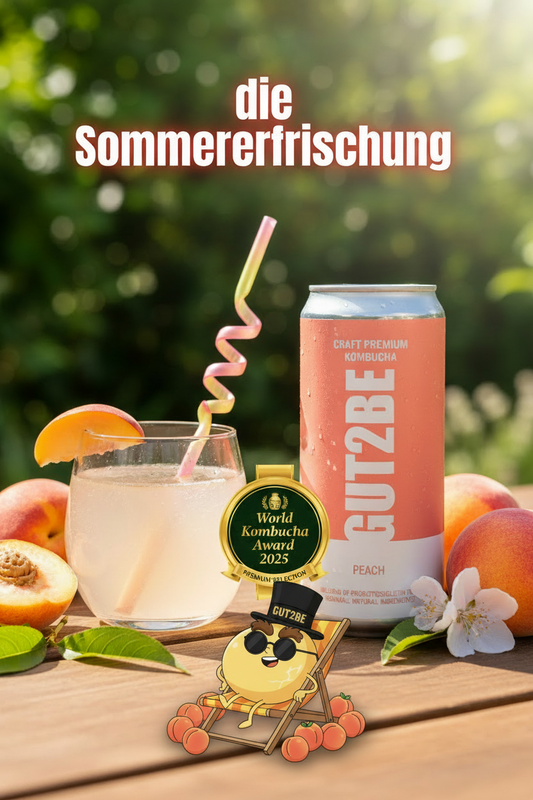 Fermented Tea CRAFT PREMIUM Kombucha Peach Melba 24 x 330ml