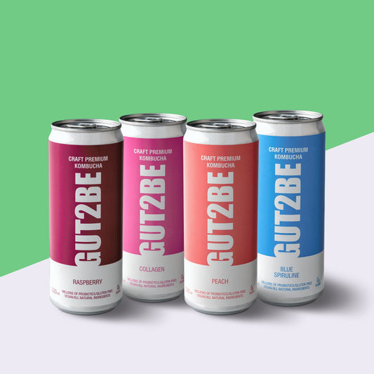 Starter Pack - 4 Dosen Kombucha - GUT2BE.DEGut2beStarter Pack - 4 Dosen Kombucha